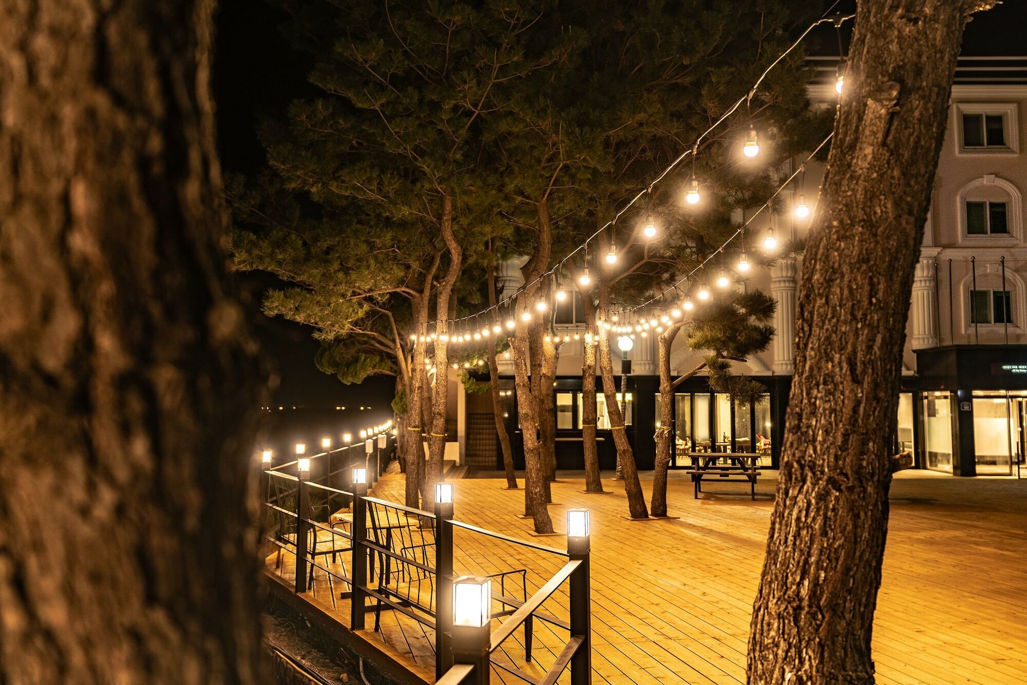 ג'גו Cocoon Hotel מראה חיצוני תמונה
